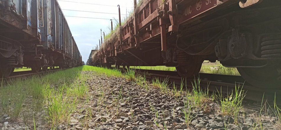 Cmentarz lokomotyw w Łodzi. Klimatyczne miejsce na Olechowie [ZDJĘCIA]