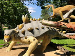 Łódź. Dinopark Kołacinek