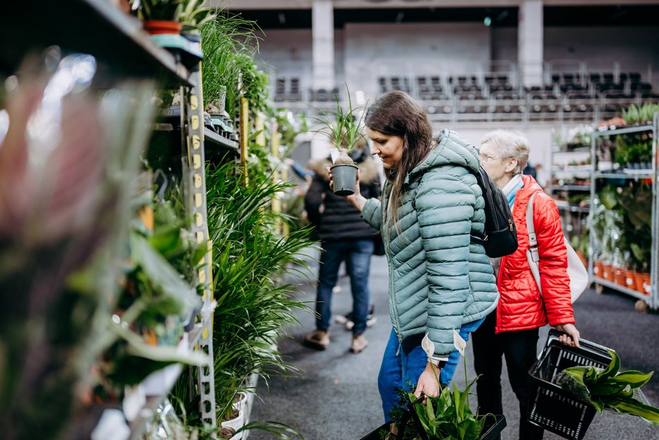 Łódź. Festiwal Roślin w Sport Arenie w Łodzi. Wyjątkowe okazy i tłumy łodzian!