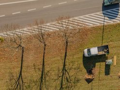 Łódź. Nowe drzewa, jesienne nasadzenia