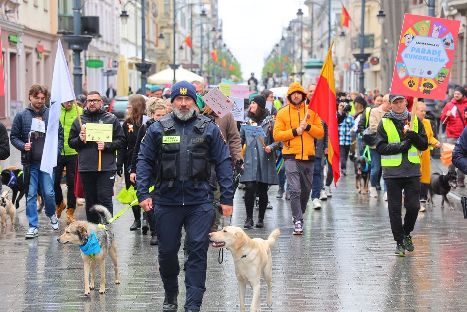 Parada kundelków w Łodzi 2025 przeszła ulicami. Skala słodyczy wysoka jak nigdy!