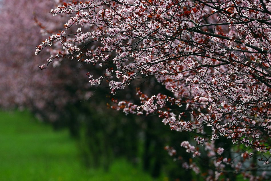 Wiosna rozgościła się w Łodzi!