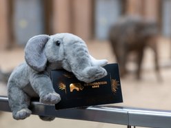 Orientarium Zoo Łódź з різдвяними подарунками. Перевірте, що приготували