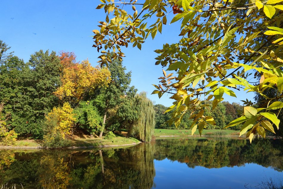 Złota polska jesień w parku na Zdrowiu