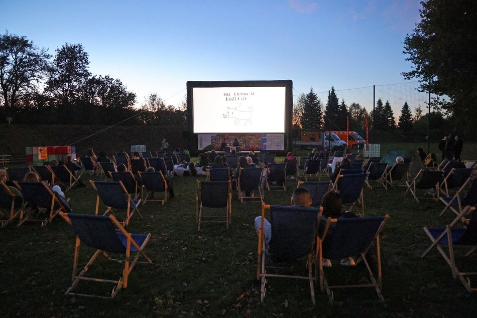 Psia Polówka w Porcie Łódź