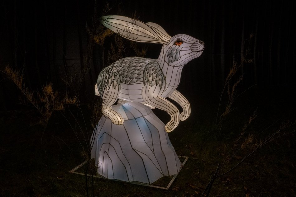 Park Miliona Świateł w Łodzi otwarty! Magiczne zwierzęta opanowały Orientarium Zoo Łódź