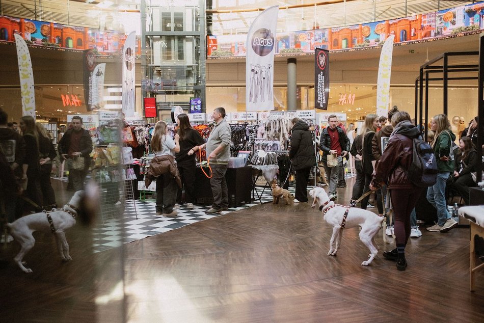 Łódź. Psi Targ w Manufakturze