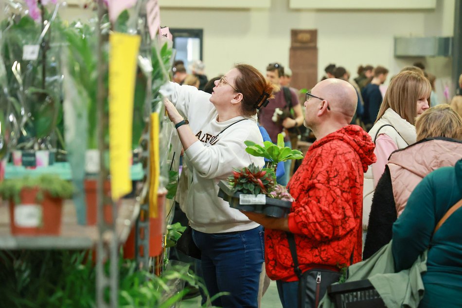 Łódź. Wystartował Festiwal Roślin! Wybierasz się?