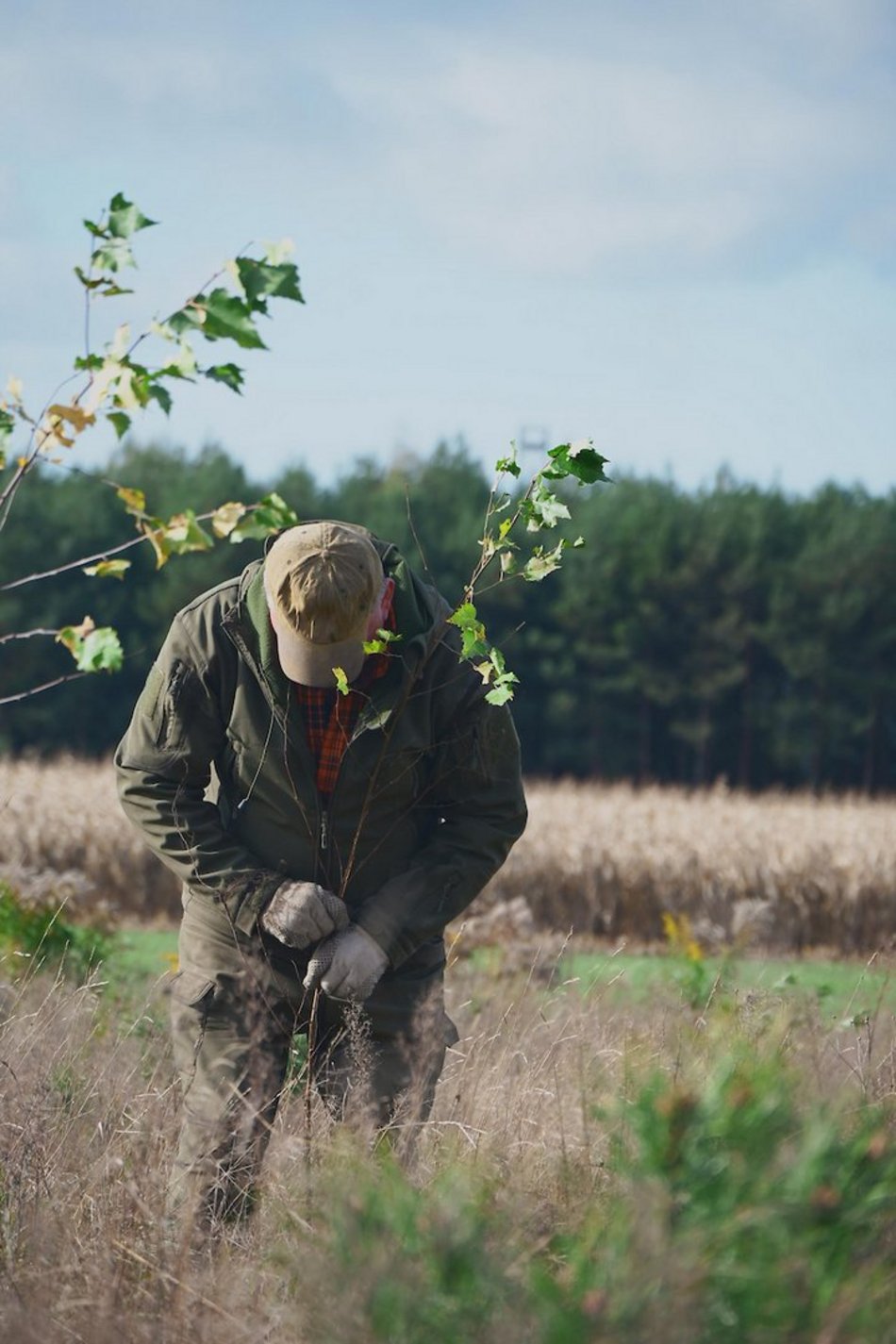 Łódź. Przybędzie aż 15 tysięcy nowych drzew