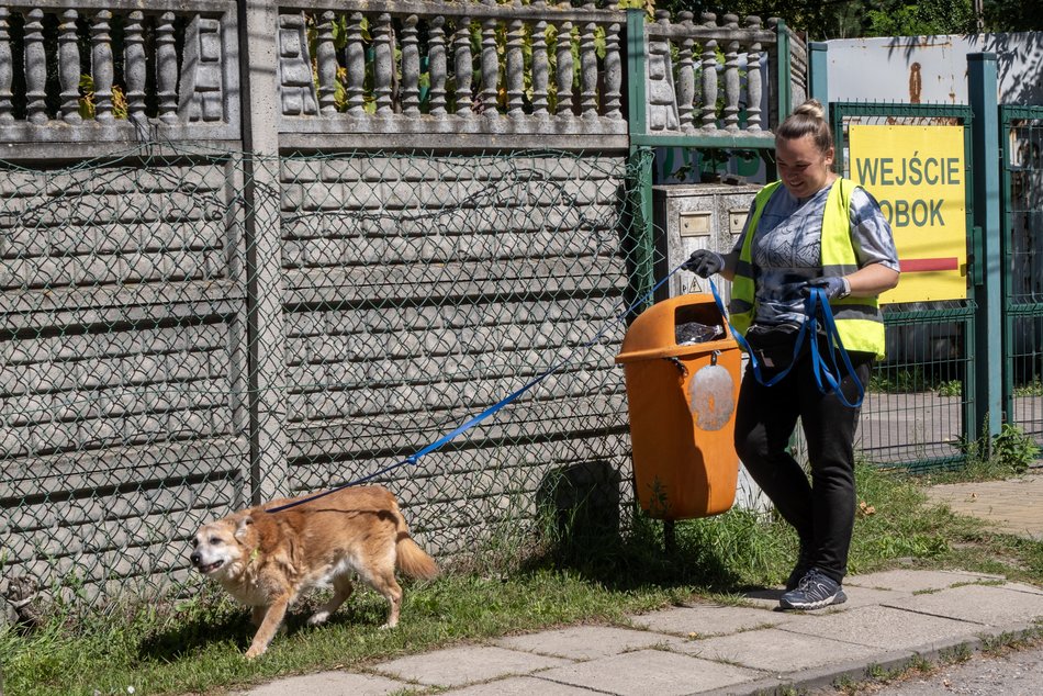 Coraz więcej zwierzaków trafia do kochających domów