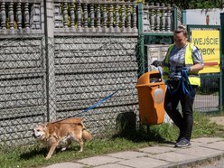 Coraz więcej zwierzaków trafia do kochających domów