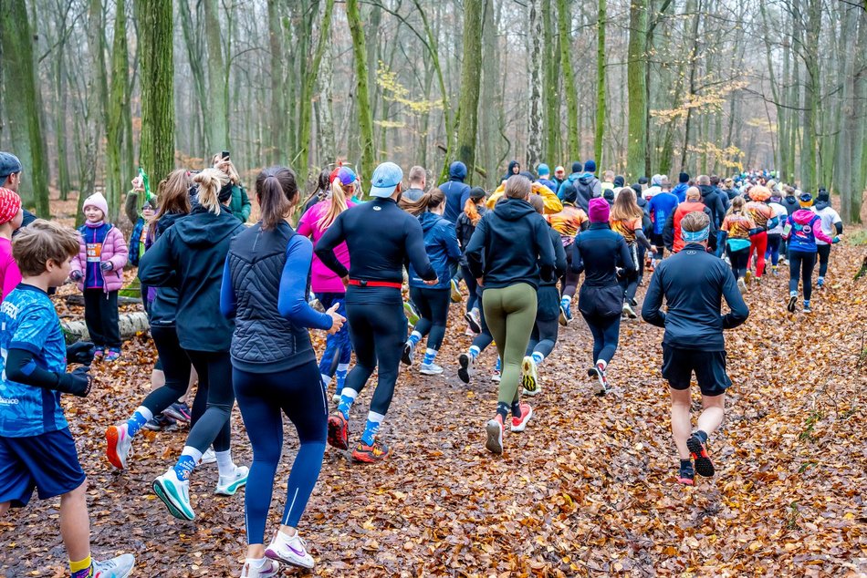 Cookie Run w Lesie Łagiewnickim w Łodzi