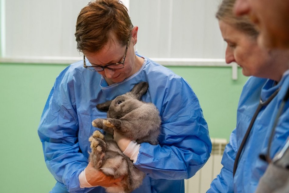 Łódź. Orientarium Zoo Łódź to nie tylko atrakcja. Tu szkolą się najlepsi weterynarze zwierząt egzotycznych