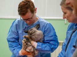 Łódź. Orientarium Zoo Łódź to nie tylko atrakcja. Tu szkolą się najlepsi weterynarze zwierząt egzotycznych