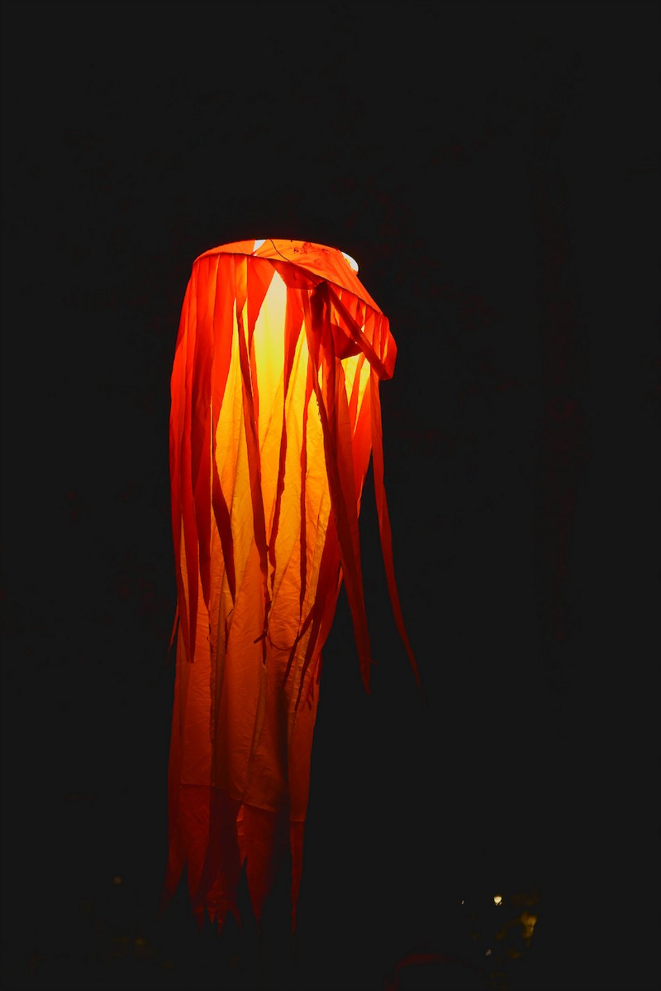 Park Staromiejski na Light Move Festival 2025 Łódź. Widzieliście go w takiej odsłonie?