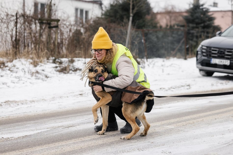 Łódź. Psy ze schroniska w Łodzi znów na spacerze! Dla tych wesołych pyszczków aż chce się chodzić!