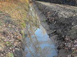 Łódź. Duże zmiany w parku Julianowskim w Łodzi. Czystsza Sokołówka, korzyść dla środowiska