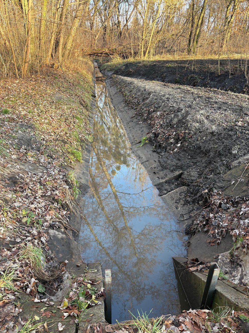 Łódź. Duże zmiany w parku Julianowskim w Łodzi. Czystsza Sokołówka, korzyść dla środowiska