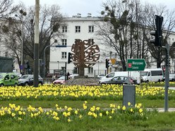 Wiosna rozgościła się w Łodzi!