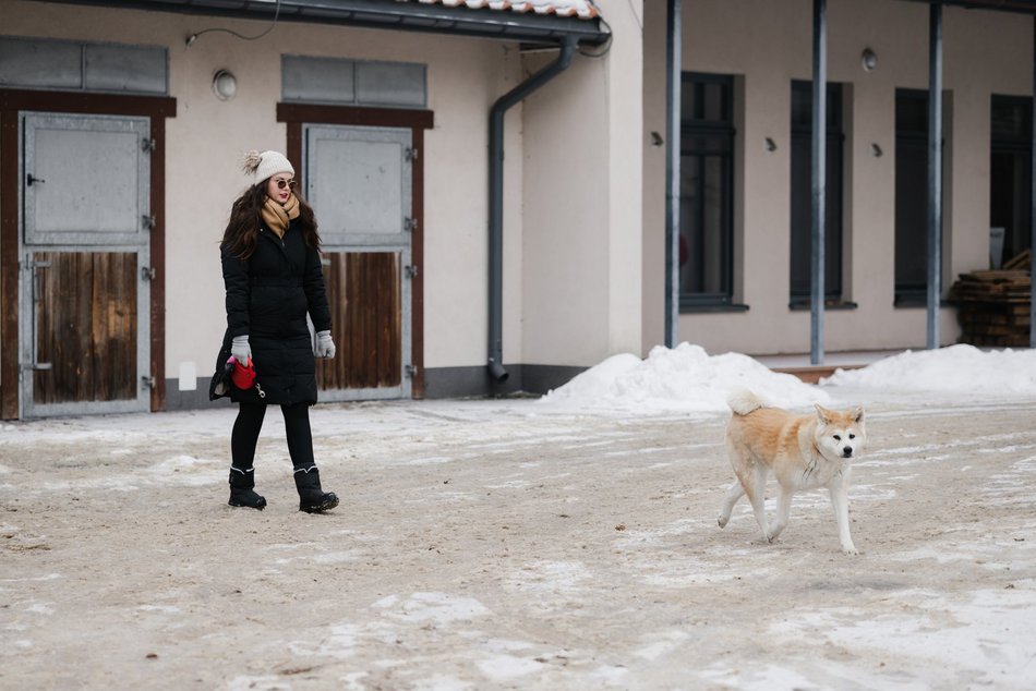 Łódź. Straż Miejska świętuje WOŚP 2026 w Łodzi! Jazda konna, gry i zabawy przy Wycieczkowej