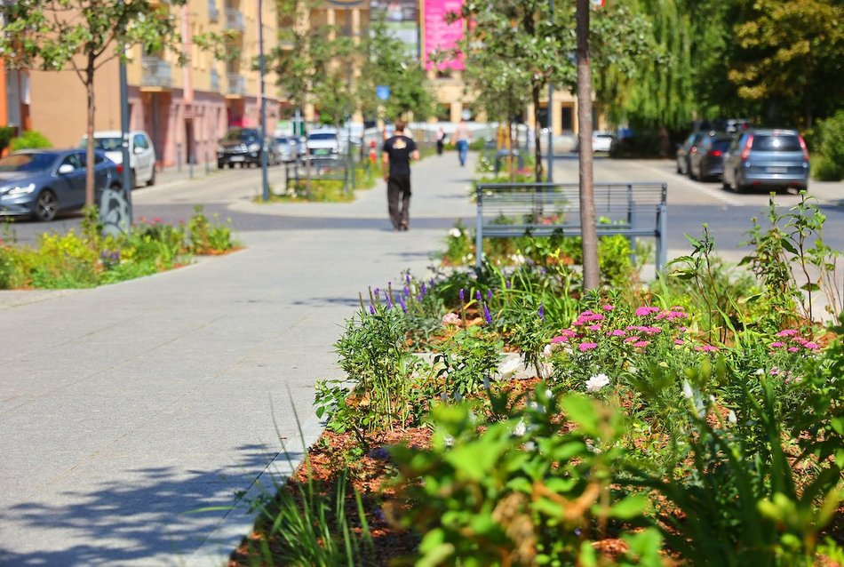 Łódź. Knychalskiego w Łodzi cała w zieleni! Nowe drzewa, kwiaty i rabaty