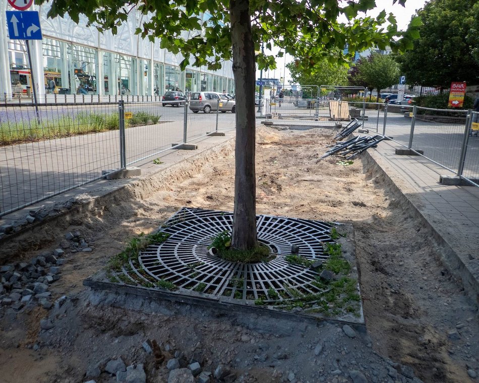 Łódź. Stajnia Jednorożców w Łodzi cała w zieleni! Zamiast betonu będą drzewa i barwne rabaty!