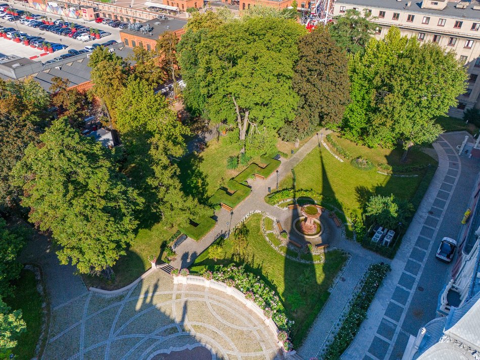 Pomniki przyrody w Łodzi