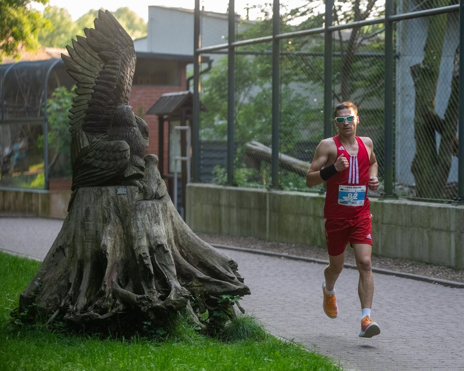 Bieg Rekina w Orientarium Zoo Łódź