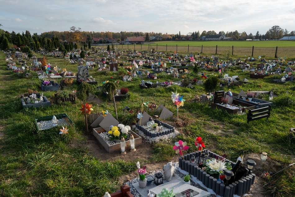 Cmentarz dla zwierząt w Łodzi