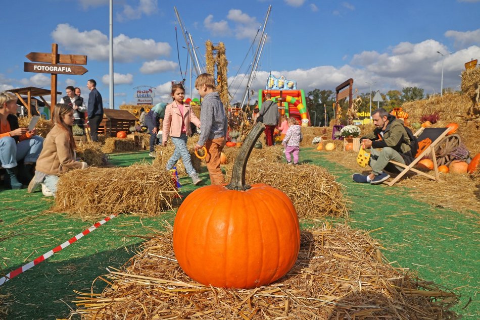 Farma Dyniowa w Pasażu Łódzkim