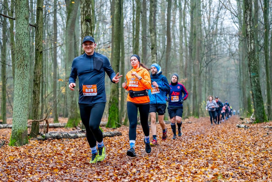 Cookie Run w Lesie Łagiewnickim w Łodzi