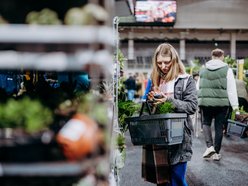 Łódź. Festiwal Roślin w Sport Arenie w Łodzi. Wyjątkowe okazy i tłumy łodzian!