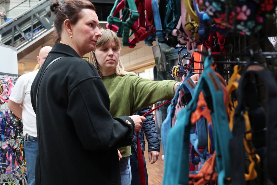 Łódź. Psi Targ w Manufakturze w Łodzi. Każdy miłośnik czworonogów znajdzie tu coś dla siebie
