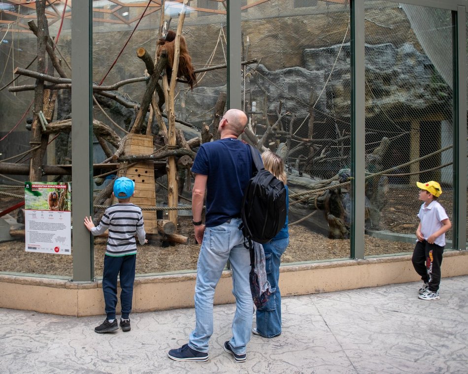 Łódź. Dzień Dziecka w Orientarium Zoo Łódź. Tylu atrakcji tam jeszcze nie było!