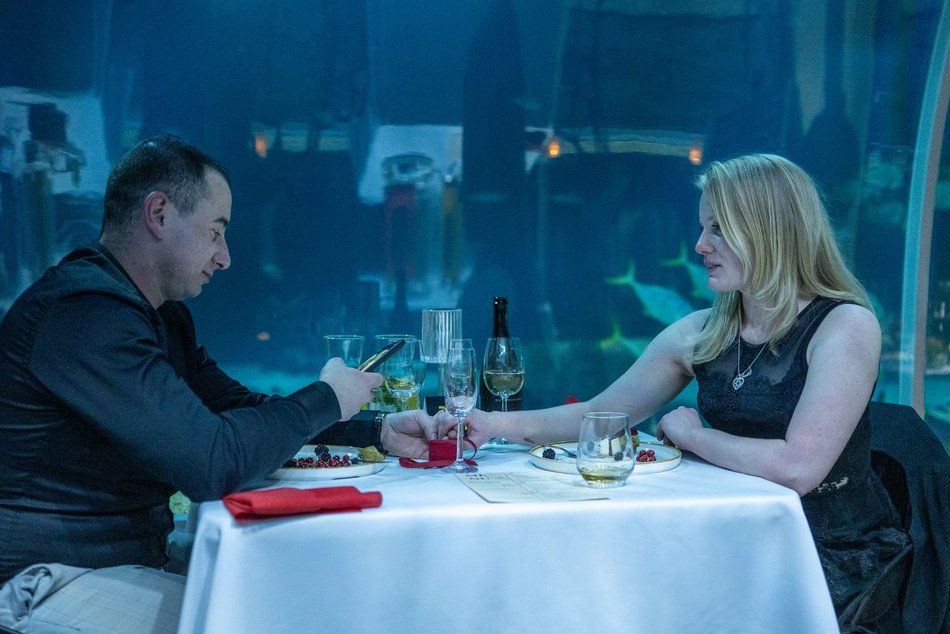 Łódź. Walentynki w Orientarium Zoo Łódź. Przysmaki, koncert na harfie i... zaręczyny