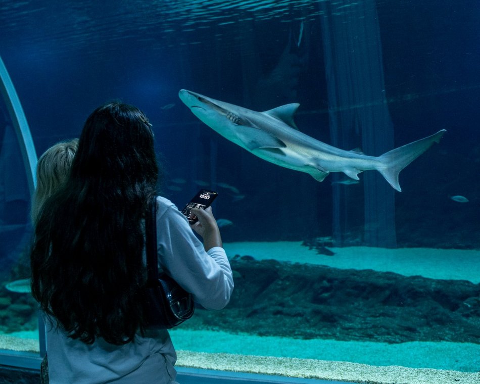 601. Urodziny Łodzi w Orientarium Zoo Łódź