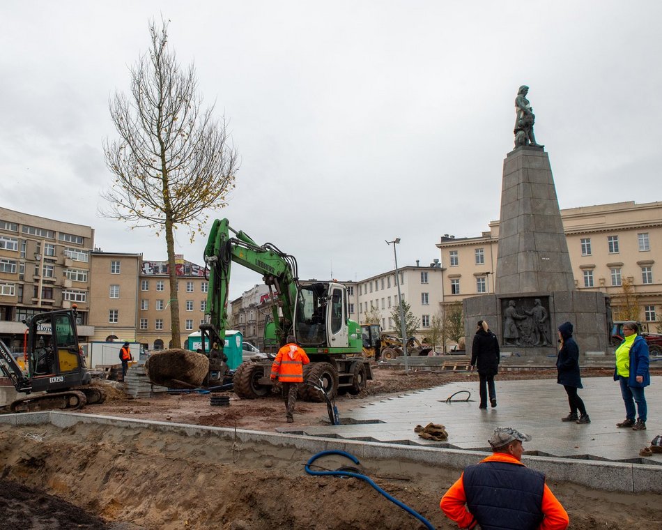 Plac Wolności z kolejnymi drzewami