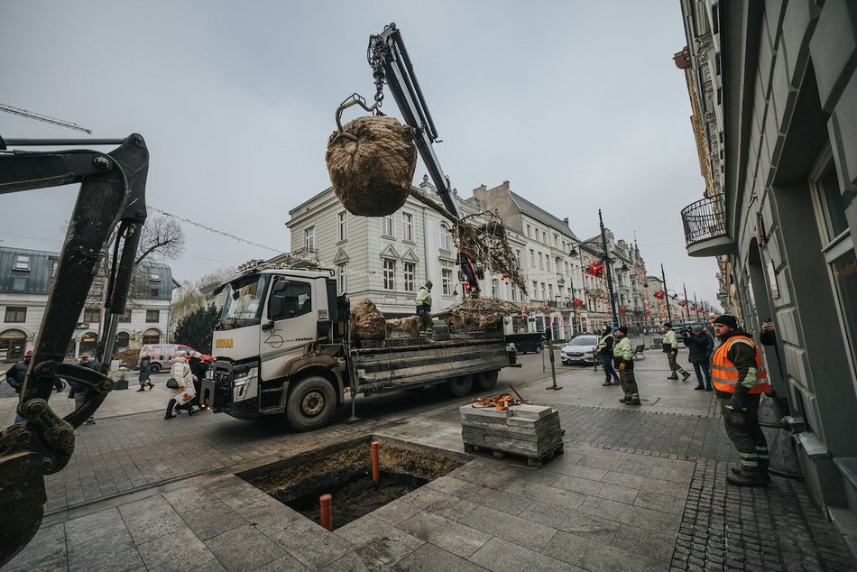 Łódź. Zielona metamorfoza Piotrkowskiej!