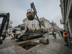 Łódź. Zielona metamorfoza Piotrkowskiej!
