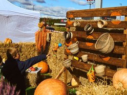 Farma Dyniowa w centrum Łodzi! Poczuj klimat jesieni w Pasażu Łódzkim