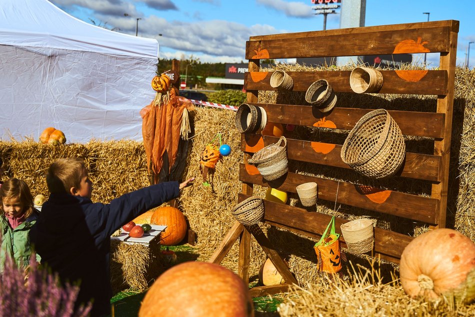 Farma Dyniowa w centrum Łodzi! Poczuj klimat jesieni w Pasażu Łódzkim