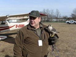 Sokolnik Andrzej Fijałkowski z lotniska w Łodzi