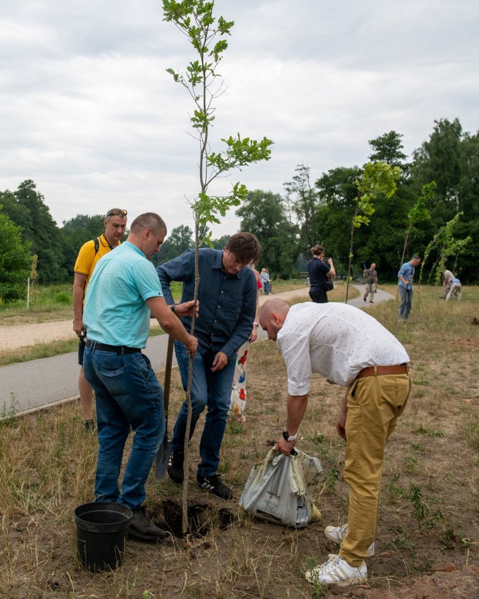 600 dębów na 600. Urodziny Łodzi