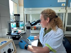 Łódź. Inteligentne kapsułki. Pomysł naukowców z Uniwersytetu Łódzkiego może zmienić chemioterapię!