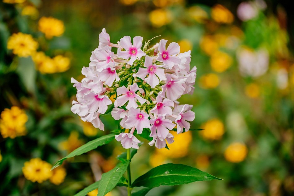 Łódź. Jesień w Ogrodzie Botanicznym w Łodzi. Tam z pewnością pokochasz tę porę roku!