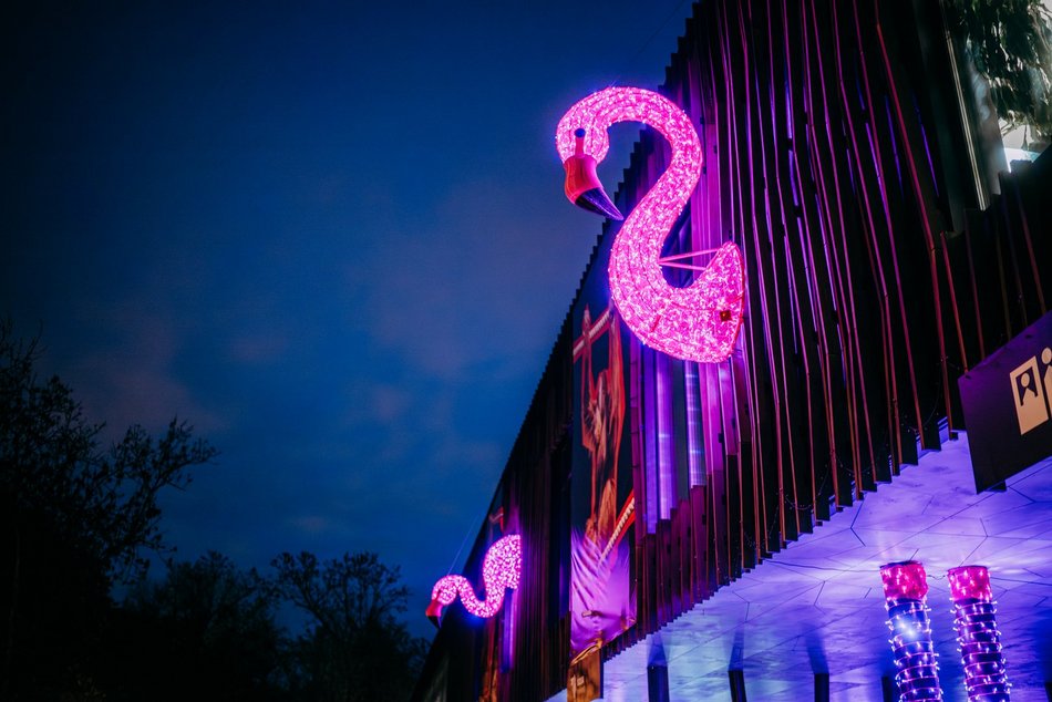 Park Miliona Świateł w Łodzi otwarty! Magiczne zwierzęta opanowały Orientarium Zoo Łódź
