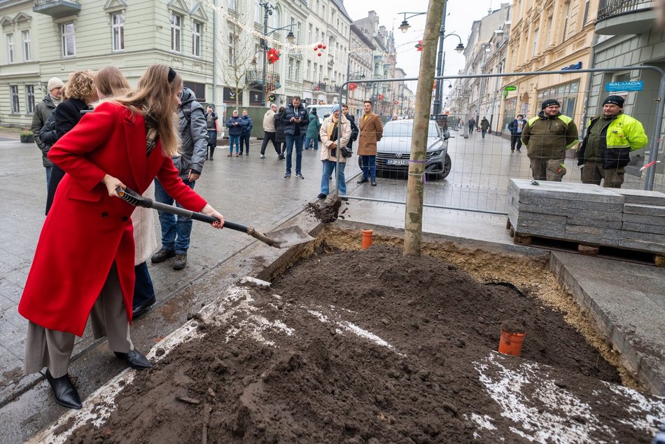 Łódź. Drzewa na Piotrkowskiej w Łodzi posadzone! Łodzianie uczestniczyli w imprezie