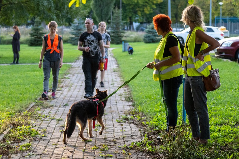 Łódź. Ostatni Psia Polówka w Łodzi za nami. Nic słodszego dziś nie zobaczysz!