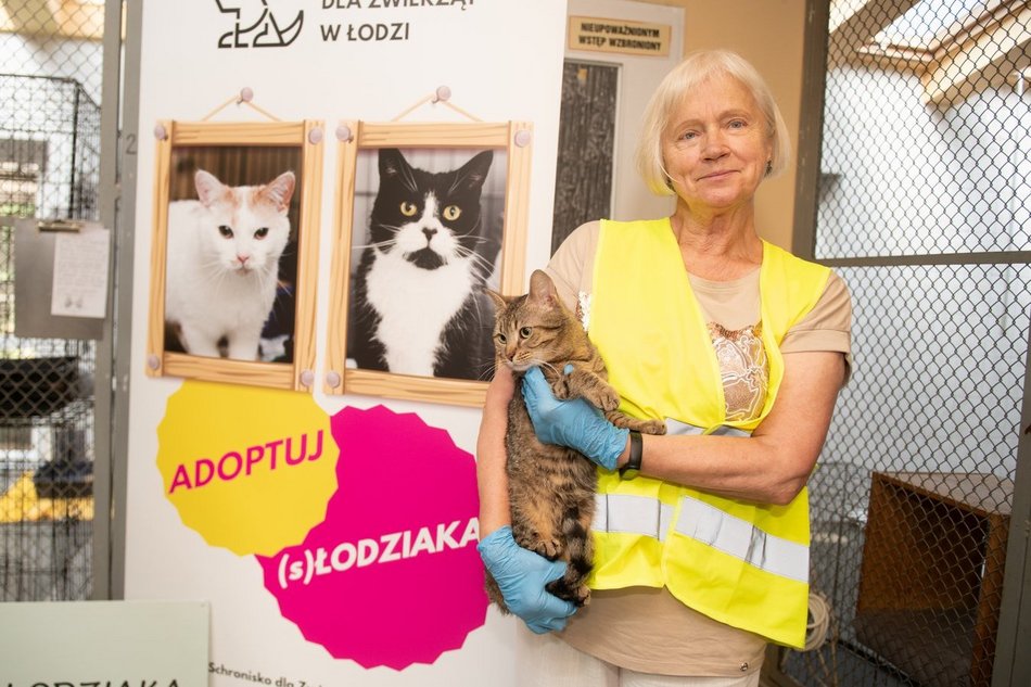 Bądź jak pani Krystyna, która została wolontariuszką w schronisku w Łodzi