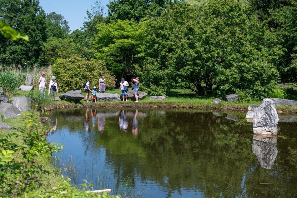 Decyduj o losach Ogrodu Botanicznego w Łodzi. Przyjdź na spotkania, warsztaty i spacery badawcze